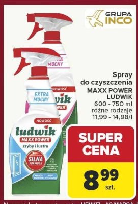 Spray do czyszczenia MAXX POWER LUDWIK 600-750 ml różne rodzaje promocja w Carrefour