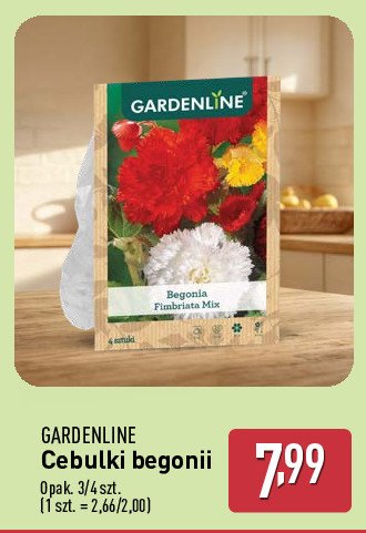 Cebulki begonii GARDEN LINE promocja