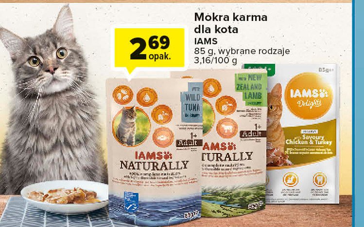 Karma dla kota z oceanicznym dorszem w sosie Iams naturally promocje