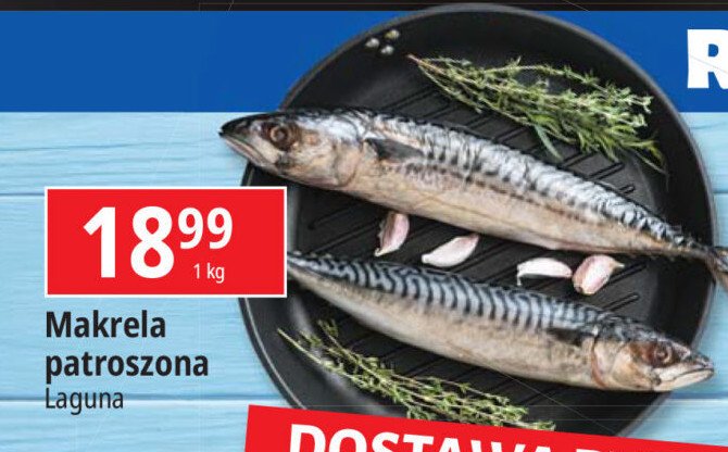 Makrela patroszona Laguna promocja