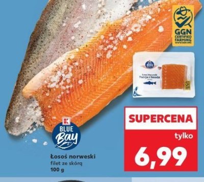 艁oso艣 norweski ze sk贸r膮 K-classic blue bay promocja