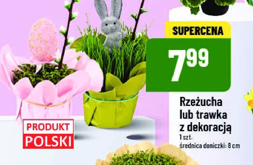 Trawka z dekoracj膮 promocja