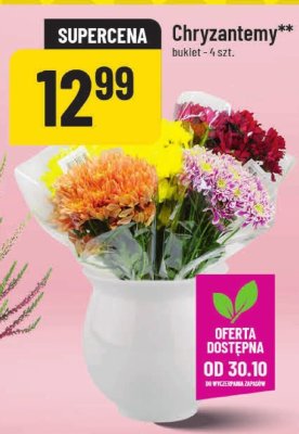 Chryzantemy bukiet promocja w POLOmarket