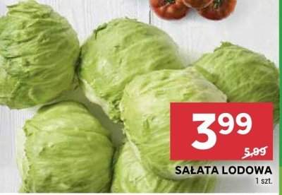 Sałata lodowa promocja w Stokrotka