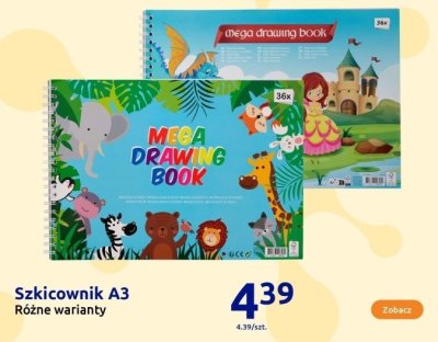 Szkicownik A3 różne warianty promocja w Action