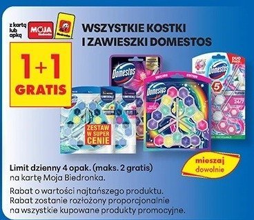 Wszystkie kostki i zawieszki Domestos 1+1 gratis promocja w Biedronka