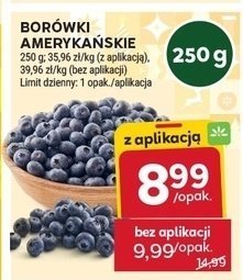 Borówki amerykańskie świeże promocja w Stokrotka