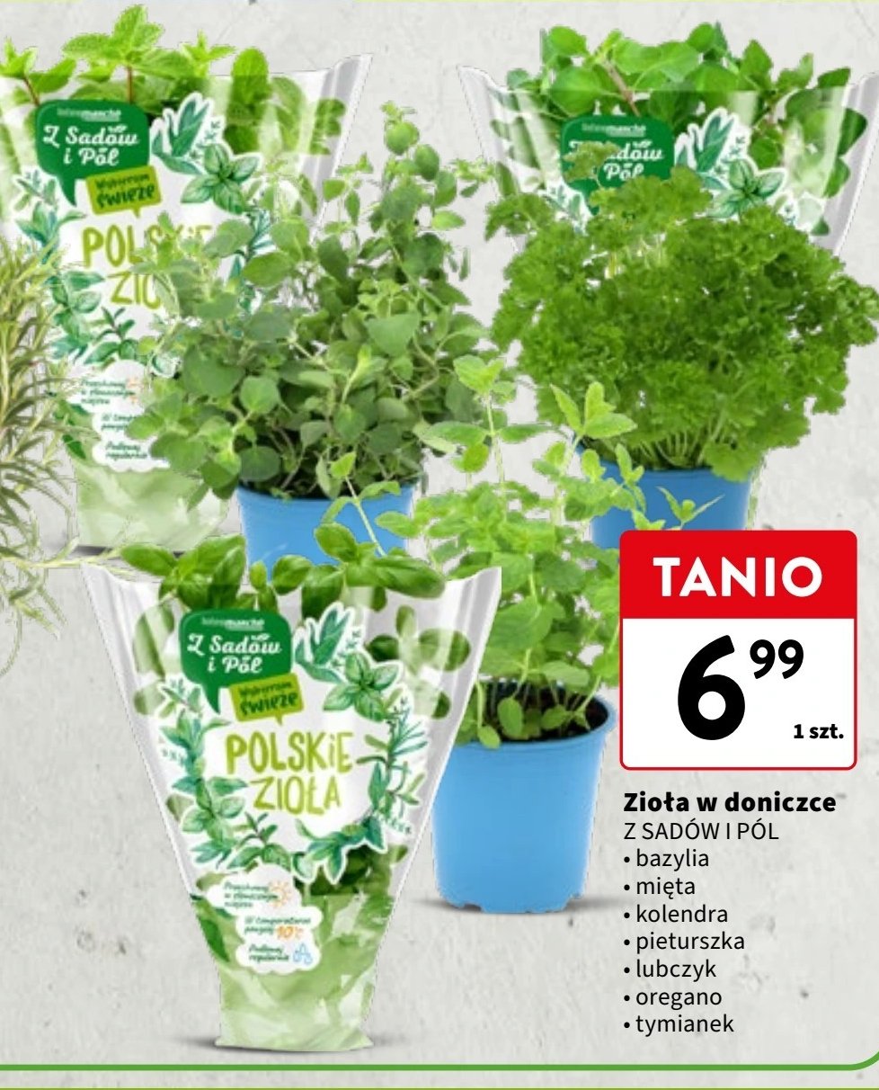 Oregano Z sadów i pól promocja