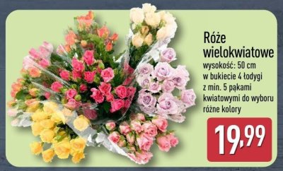 Róże wielokwiatowe w bukiecie promocja w Aldi