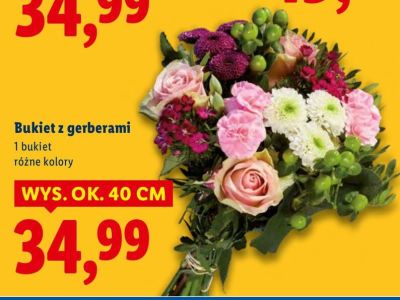 Bukiet z gerberami 40 cm promocja w Lidl
