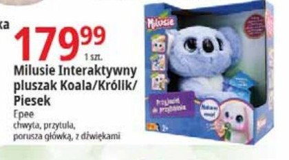 Milusie - koala Epee promocja