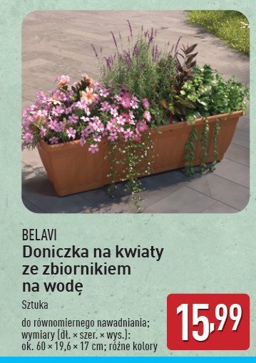 Doniczka na kwiaty ze zbiornikiem na wodę BELAVI promocja w Aldi