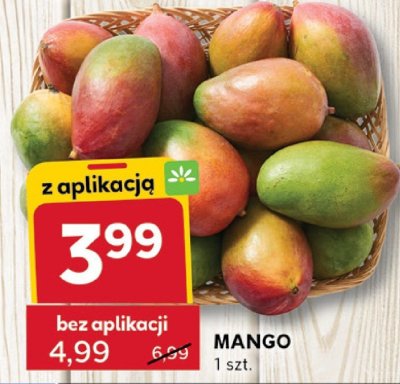 Mango promocja w Stokrotka