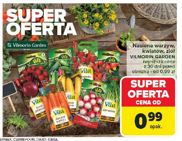 Nasiona burak ćwikłowy okrągły ciemnoczerwony Vita line promocja w Carrefour Market