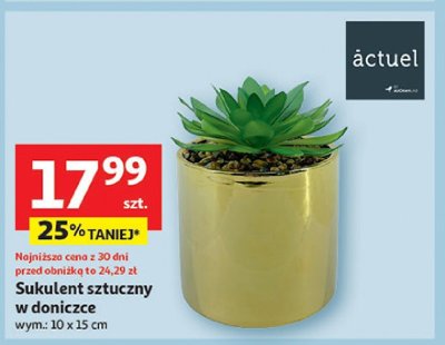 Sukulent sztuczny w doniczce actuel promocja w Auchan