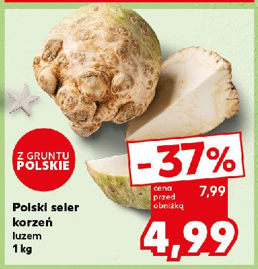 Seler korzeń promocja