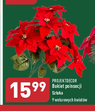 Bukiet poisencji promocja