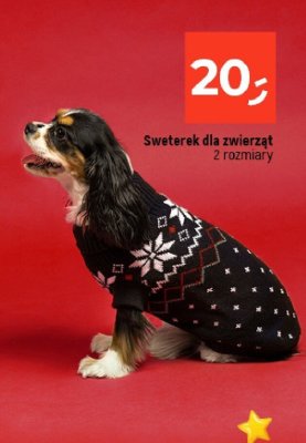 Sweterek dla zwierząt promocja w Dealz