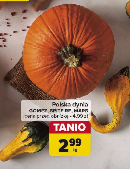 Dynia mars promocja