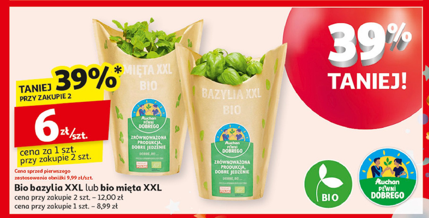 Bazylia xxl bio Auchan pewni dobrego promocja w Auchan