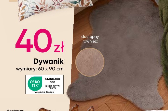 Dywanik wym. 60 x 90 cm promocja w Pepco