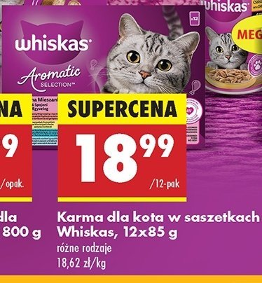 Karma dla kota wybór dań mięsnych Whiskas promocja