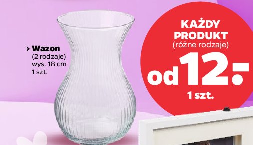 Wazon 18 cm promocja w Netto