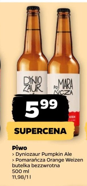 Piwo Dyniozaur pumpkin ale promocja