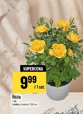 Gazetka, strona 14 promocja w POLOmarket