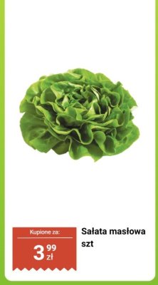Sałata masłowa 1 szt. promocja w Dino