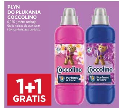 Płyn do płukania Coccolino Creations tiare flower & red fruits promocja w Stokrotka