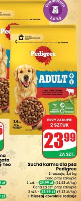 Sucha karma dla psa 2 rodzaje promocja w Dino