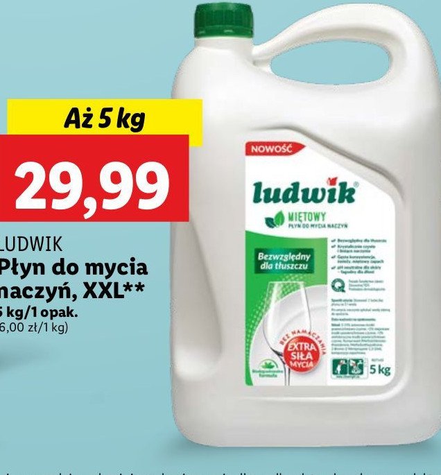 Płyn do naczyń miętowy Ludwik promocja w Lidl