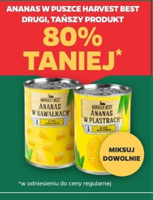 Ananas w puszce (różne rodzaje) promocja w Netto