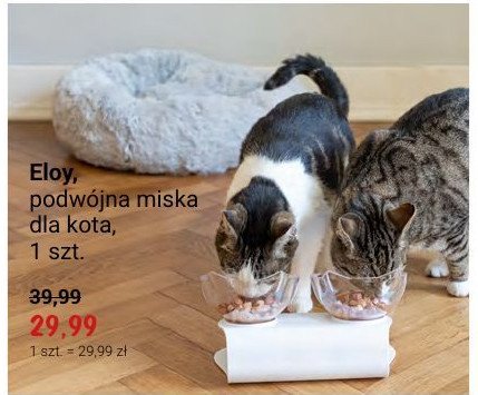 Miska dla kota podwójna Eloy promocja