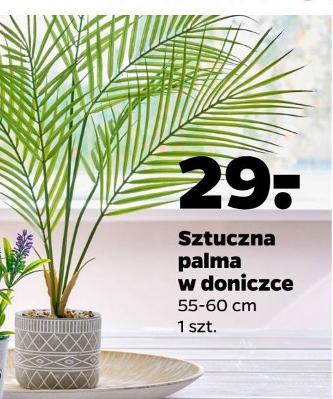 Palma sztuczna 55-60 cm promocja