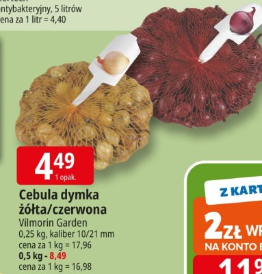 Cebula dymka żółta/czerwona Vilmorin Garden promocja w Leclerc