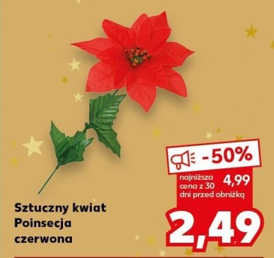 Sztuczny kwiat Poinsecja czerwona promocja w Kaufland
