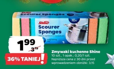 Zmywaki kuchenne 10 szt. promocja w Netto