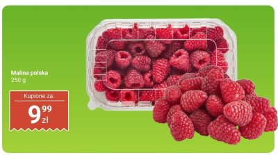 Malina polska 250 g promocja w Dino