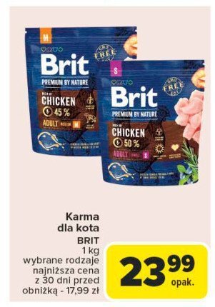 Karma dla psa kurczak s BRIT PREMIUM AND NATURE promocja