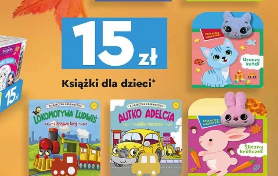 Uroczy kotek promocja