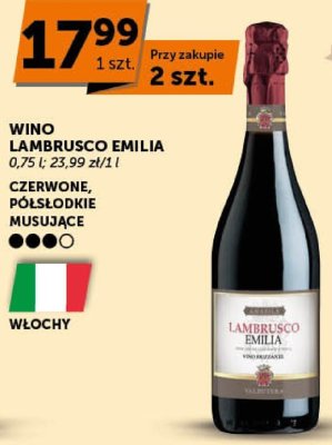 Wino Lambrusco Emilia czerwone, półsłodkie musujące promocja w ABC