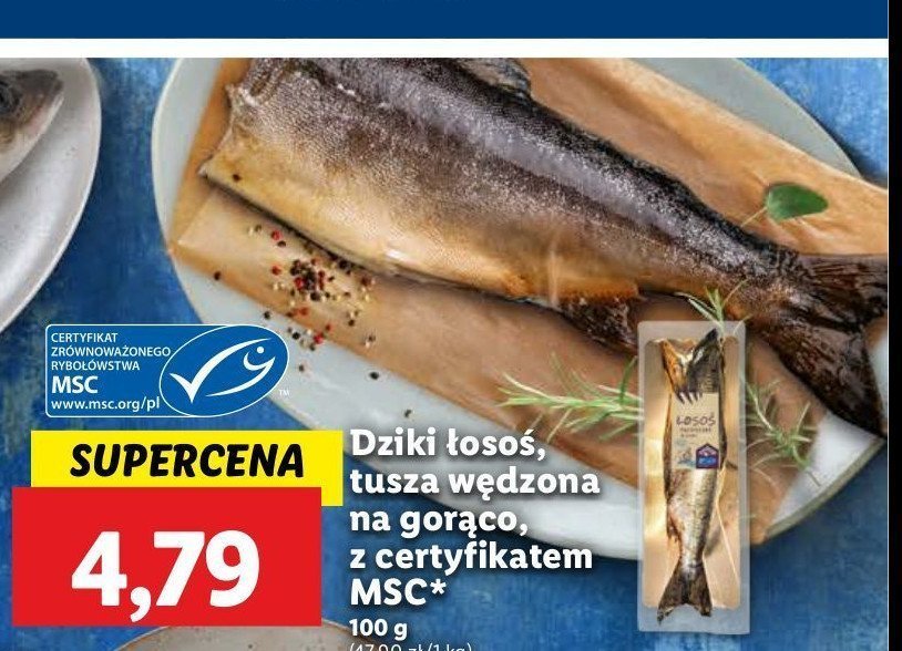 Łosoś dziki promocja