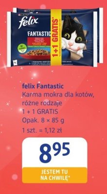 Karma mokra dla kotów różne rodzaje 1+1 GRATIS felix Fantastic promocja w Drogerie DM