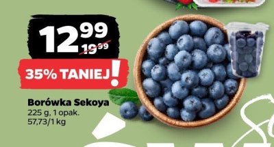 Borówka sekoya 225 g promocja w Netto