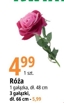 R贸偶a 48 cm promocja