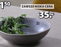 Misa ELIAS promocja w Jysk