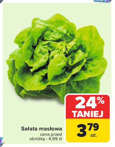 Sałata masłowa promocja w Carrefour Market