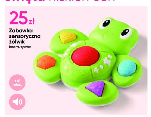 Zabawka sensoryczna żółwik promocja w Pepco